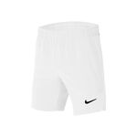 Tenisové Oblečení Nike Court Flex Ace Shorts Boys