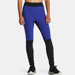 Oblečení Under Armour Qualifier Cold Tight