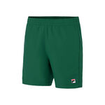 Oblečení Fila Shorts Leo