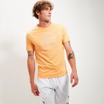 Oblečení Ellesse Blakeney Tee