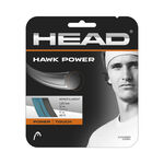 Tenisové Struny HEAD Hawk Power 12m grau